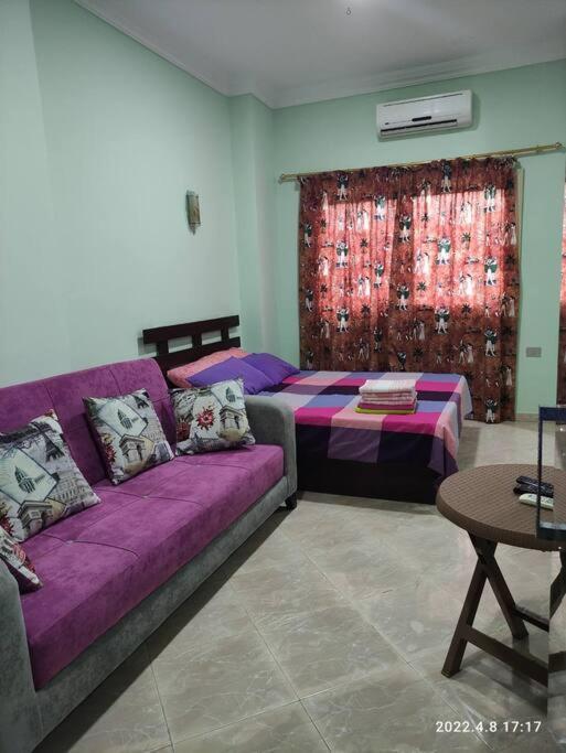 The Best Holidays Apartments In 洪加達 外观 照片